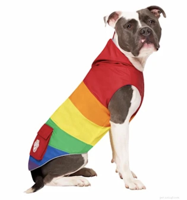 Il miglior merchandising Pride per animali domestici nel 2022