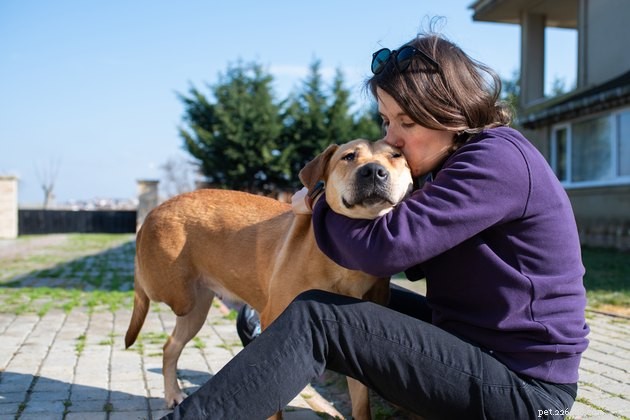 4 cruciale dingen om te overwegen bij het adopteren van een hond:een professionele trainer weegt mee