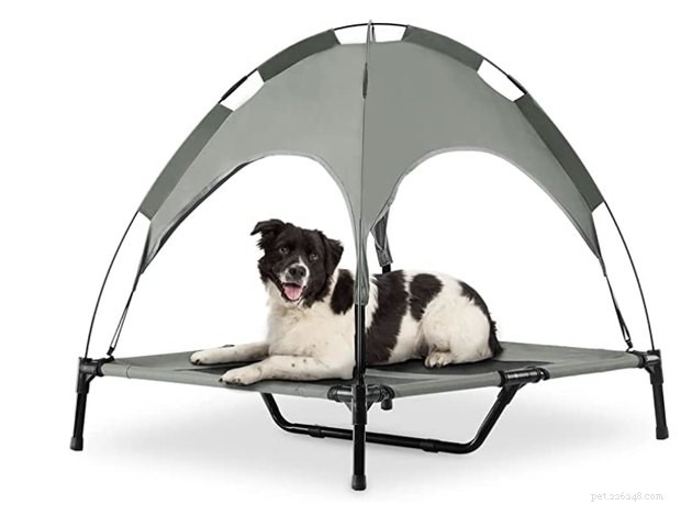 As melhores camas para cães ao ar livre em 2022