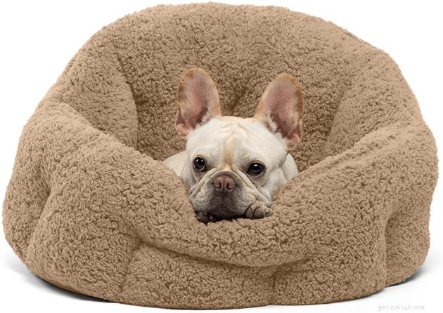 2022年に最高の暖房付き犬用ベッド 