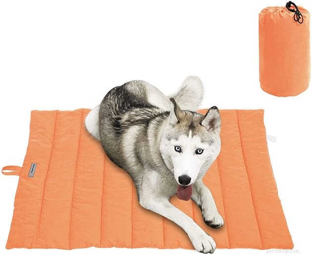 2022年に最高の犬の木枠のベッド 