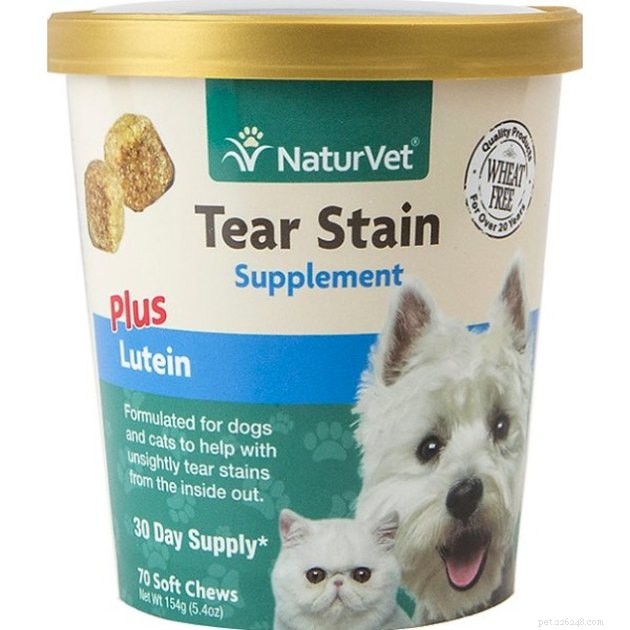 De bästa tårfläcksborttagningsmedlen för hundar och katter 2022