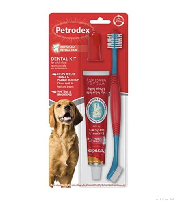 Les meilleures brosses à dents pour chien en 2022