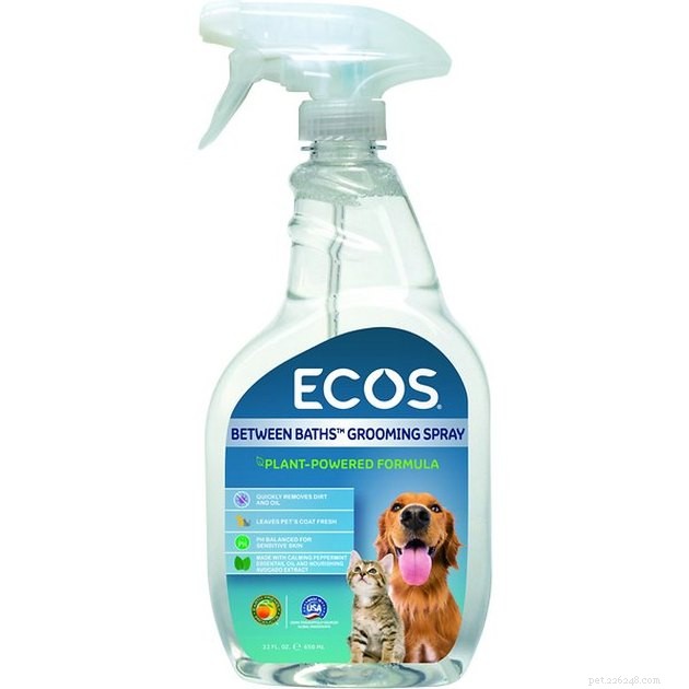 Os melhores sprays desodorizantes para cães em 2022