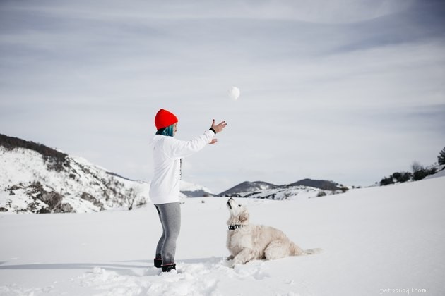 8 giochi sulla neve da giocare con il tuo cane