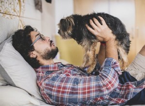 Il tuo cane ama davvero quando lo fai?