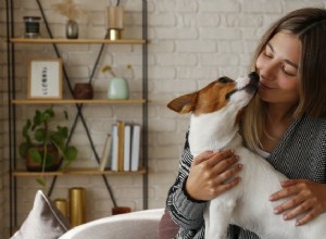 Kunnen honden knuffelen?
