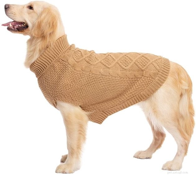 Os melhores suéteres para cães em 2022