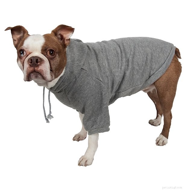 2022年の最高の犬のセーター 