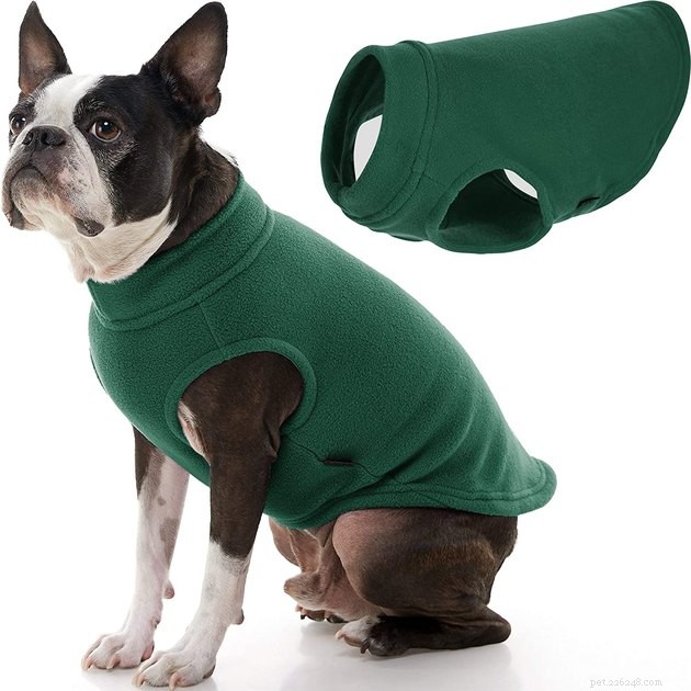 Лучшие свитера для собак 2022 года