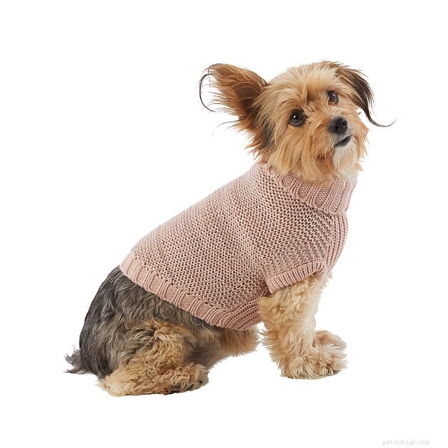 Лучшие свитера для собак 2022 года