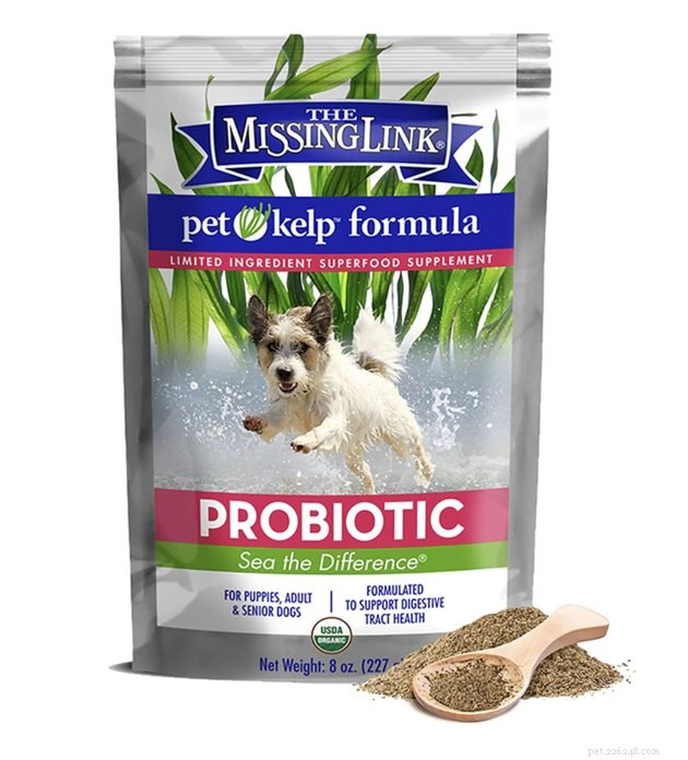 De bästa probiotika för hundar 2022