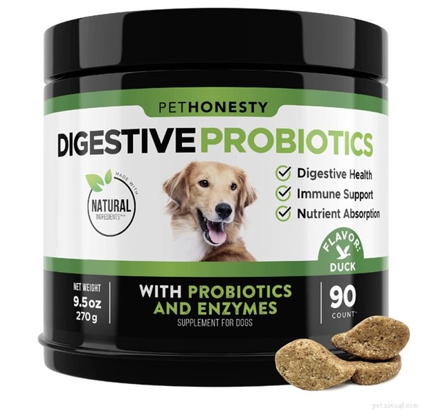I migliori probiotici per cani nel 2022