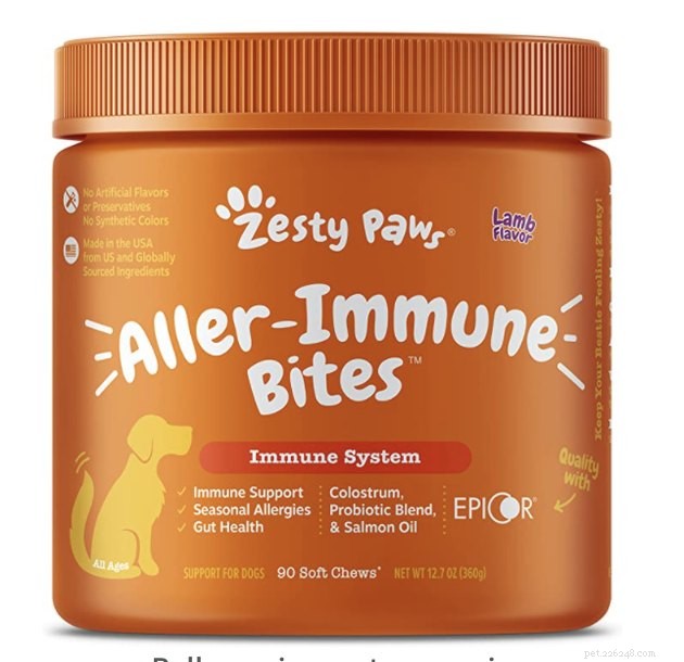 Les meilleurs suppléments contre les allergies aux chiens en 2022