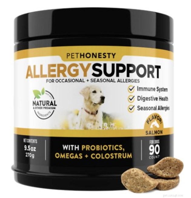 Les meilleurs suppléments contre les allergies aux chiens en 2022