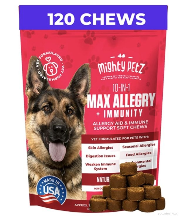 2022年の最高の犬アレルギーサプリメント 