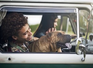 車の芳香剤は犬の周りで安全に使用できますか？ 