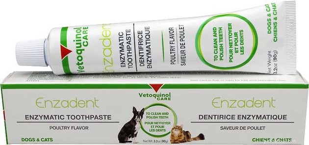 Os melhores cremes dentais para cães em 2022