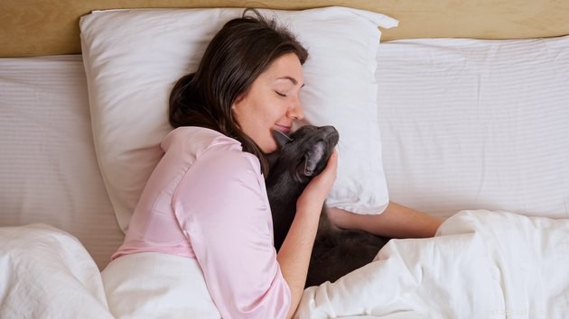 Почему кошки любят вас больше всего по утрам?