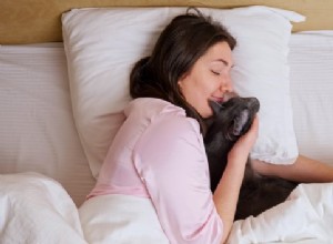 Pourquoi les chats vous aiment-ils le plus le matin ?