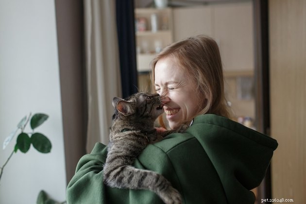 Pourquoi les chats donnent-ils des bouchées d amour ?