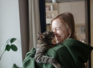 Varför ger katter kärleksbitar?