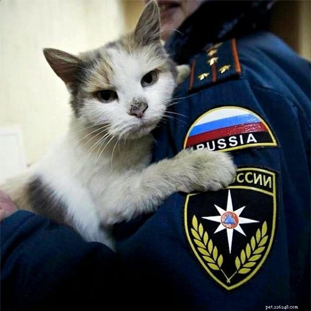 121ロシアの猫の名前 