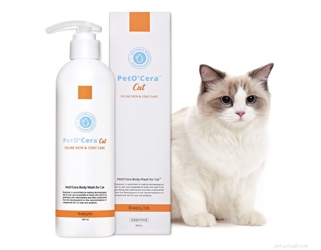 Os melhores shampoos para gatos em 2022