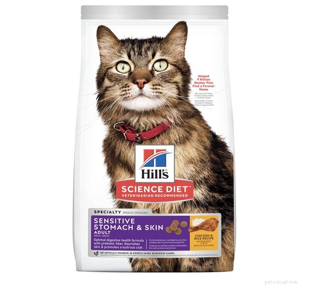 Det bästa kattfodret för känsliga magar 2022