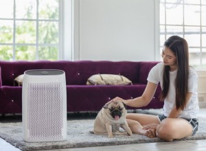 2022년 애완동물 주인을 위한 최고의 공기 청정기