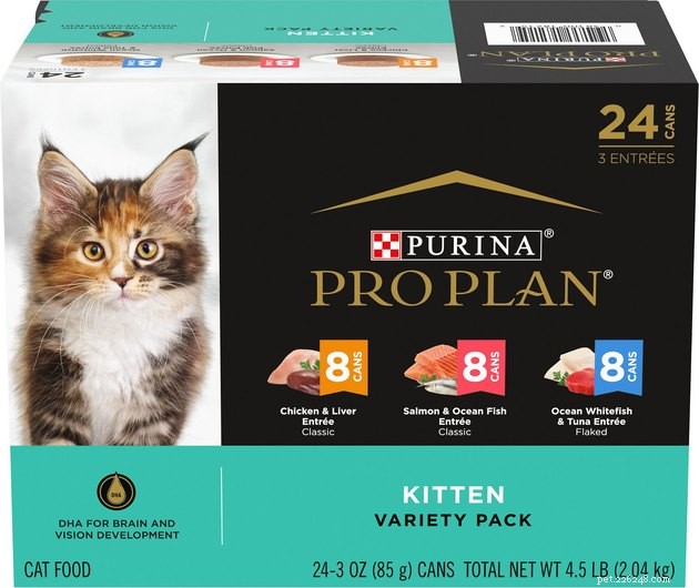 I migliori alimenti per gattini nel 2022