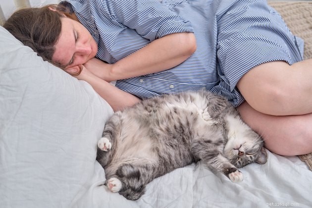 Houden katten echt van zwangere mensen?