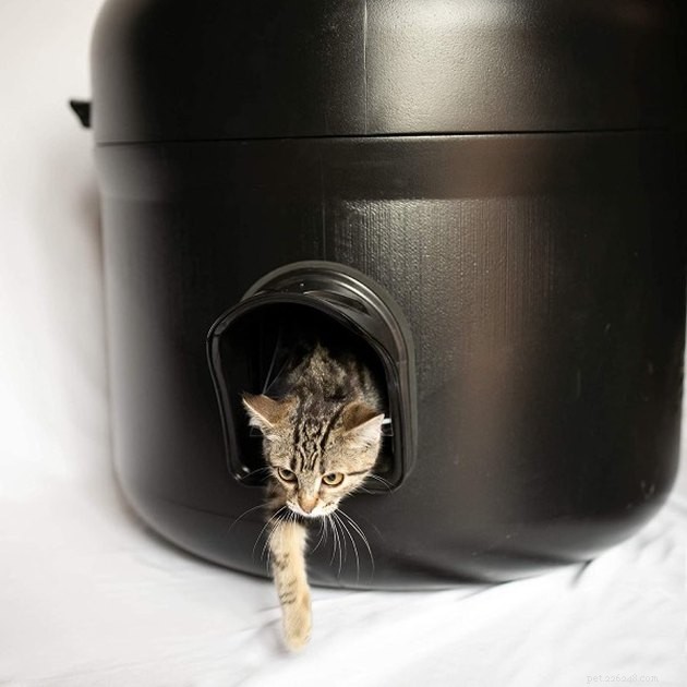 Лучшие домики для кошек на открытом воздухе в 2022 году