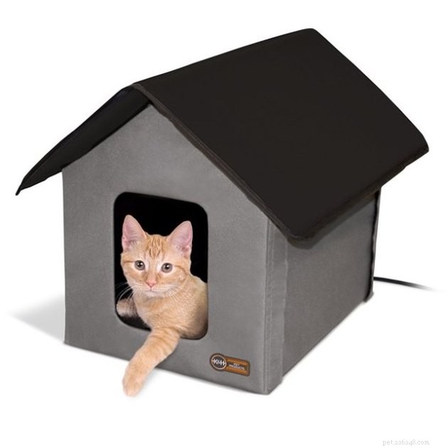 As melhores casas para gatos ao ar livre em 2022