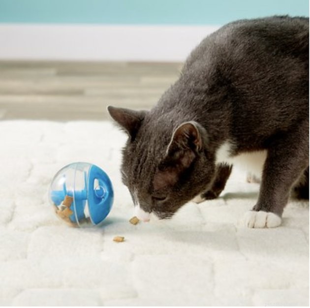 Os melhores brinquedos de bola para gatos em 2022