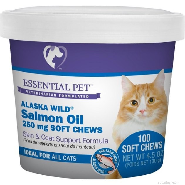 Os melhores suplementos de óleo de peixe para gatos em 2022
