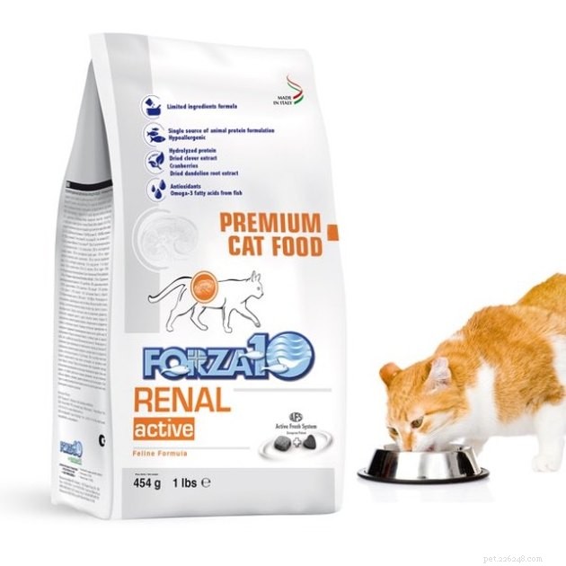 I migliori alimenti per gatti contro le malattie renali nel 2022