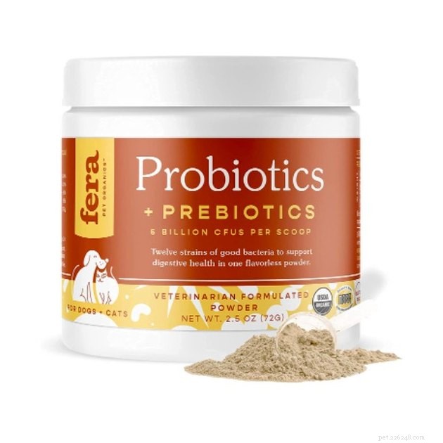 De bästa probiotika för katter 2022