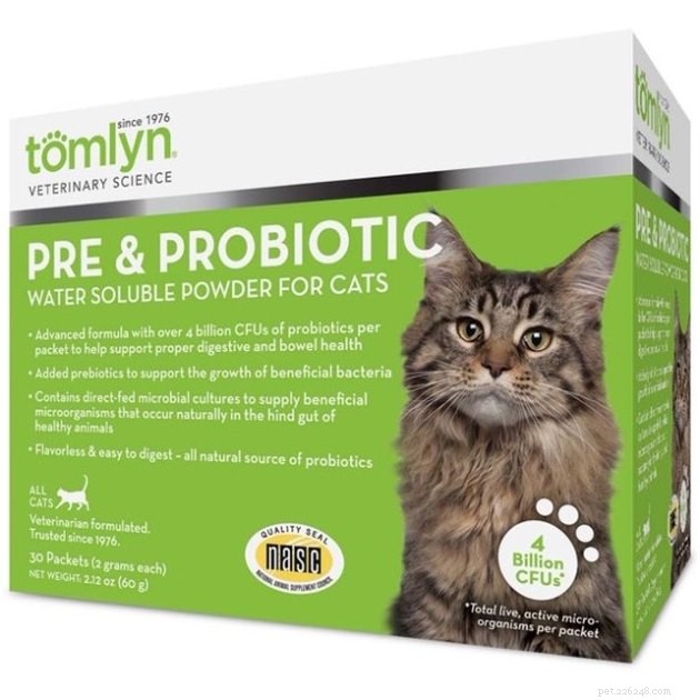 Les meilleurs probiotiques pour chats en 2022