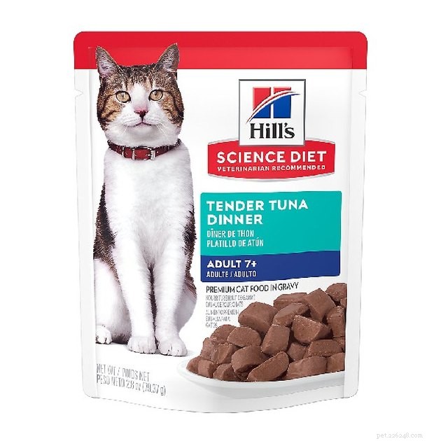 Os melhores alimentos para gatos para perda de peso em 2022