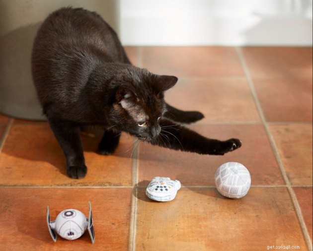 모피가 함께하길:스타워즈 고양이 장난감 5개 및 액세서리