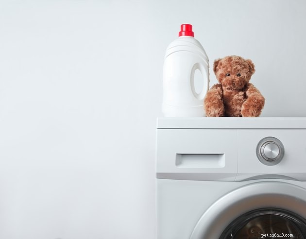 6 semplici modi per creare routine di pulizia con i tuoi animali domestici