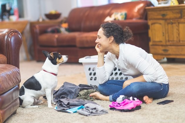 6 semplici modi per creare routine di pulizia con i tuoi animali domestici