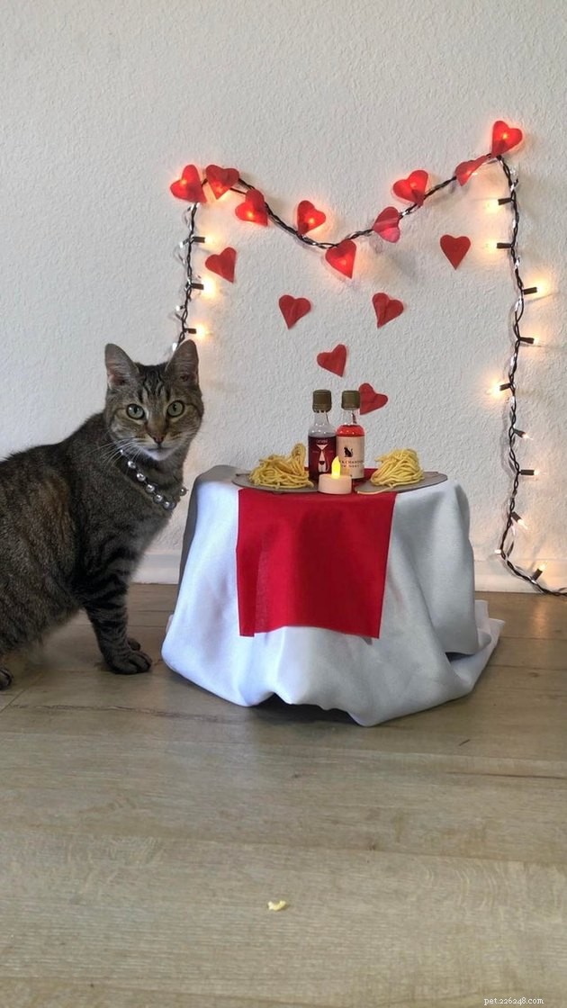 14 huisdieren die je valentijn willen zijn