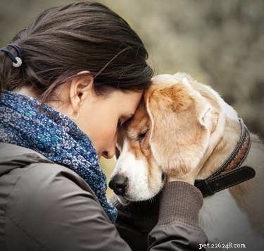 Могут ли домашние животные помочь при депрессии?