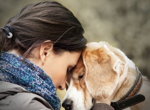Kan husdjur hjälpa mot depression?