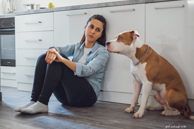 Kan husdjur hjälpa mot depression?