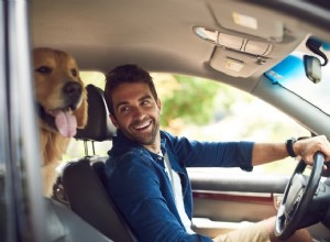 Uber 및 Lyft는 애완동물을 허용합니까?