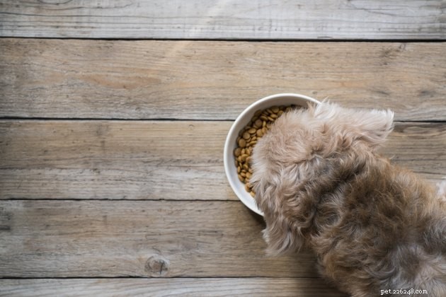 Quanto tempo resta fresco il cibo per animali domestici?
