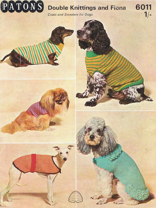1960년대 애완동물에 관한 흥미로운 사실